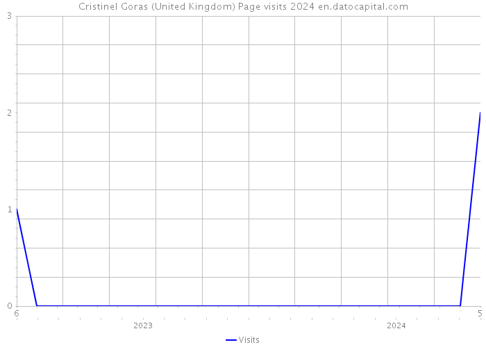 Cristinel Goras (United Kingdom) Page visits 2024 