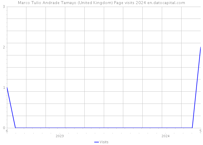 Marco Tulio Andrade Tamayo (United Kingdom) Page visits 2024 