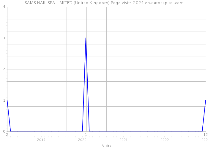 SAMS NAIL SPA LIMITED (United Kingdom) Page visits 2024 