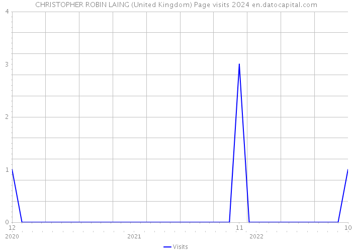 CHRISTOPHER ROBIN LAING (United Kingdom) Page visits 2024 