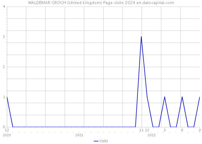 WALDEMAR GROCH (United Kingdom) Page visits 2024 