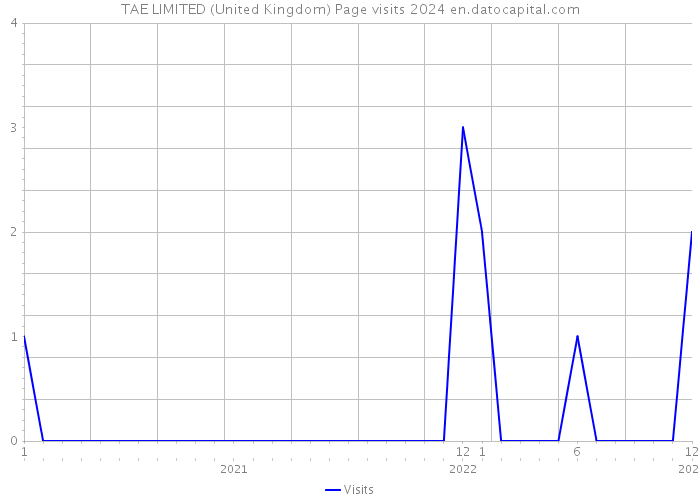 TAE LIMITED (United Kingdom) Page visits 2024 
