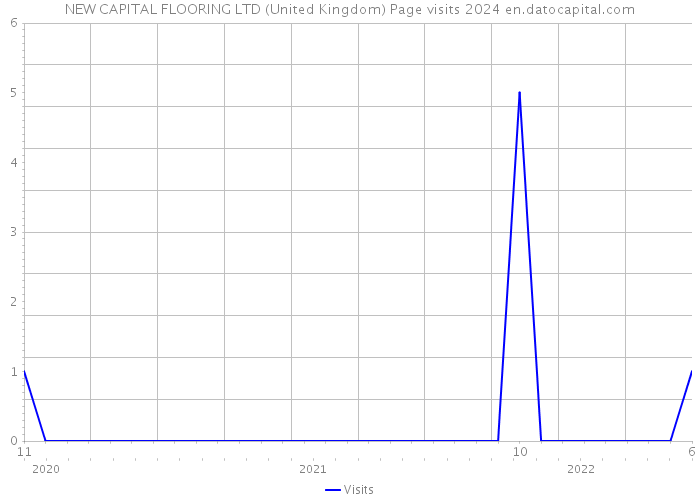 NEW CAPITAL FLOORING LTD (United Kingdom) Page visits 2024 