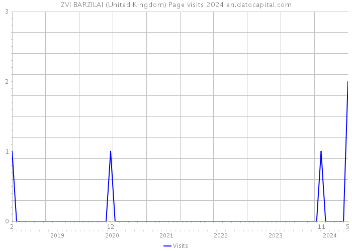 ZVI BARZILAI (United Kingdom) Page visits 2024 