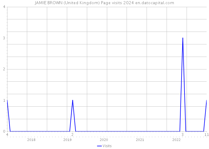 JAMIE BROWN (United Kingdom) Page visits 2024 