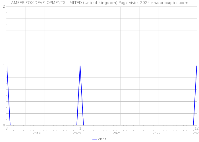 AMBER FOX DEVELOPMENTS LIMITED (United Kingdom) Page visits 2024 