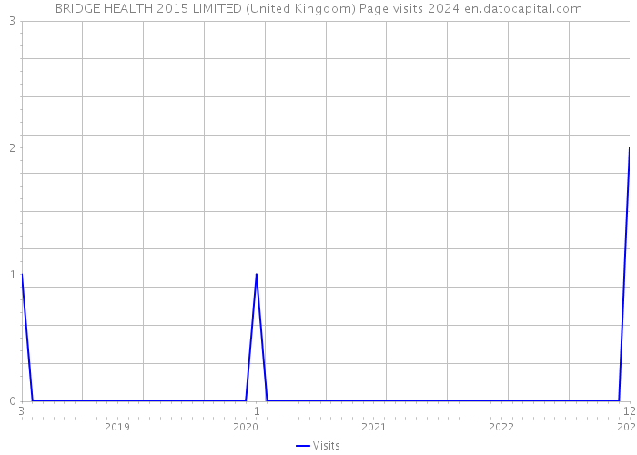 BRIDGE HEALTH 2015 LIMITED (United Kingdom) Page visits 2024 