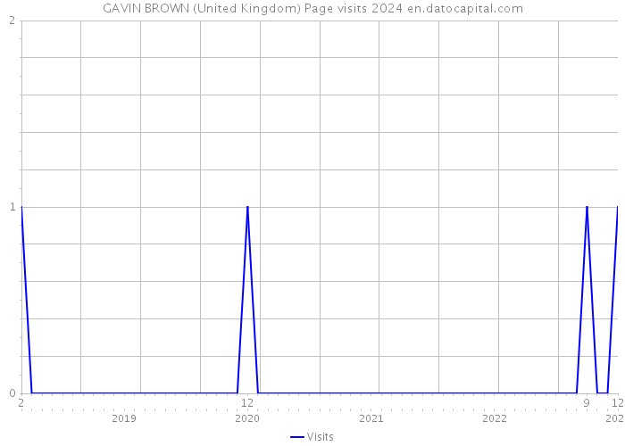 GAVIN BROWN (United Kingdom) Page visits 2024 