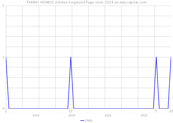 TAMMY HOWICK (United Kingdom) Page visits 2024 