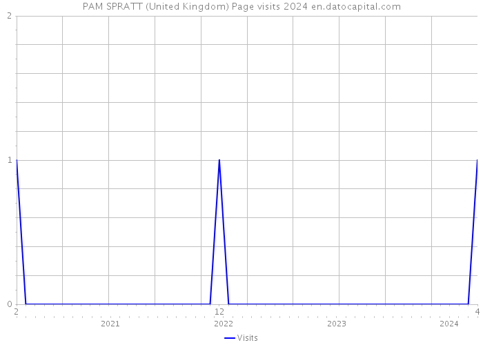 PAM SPRATT (United Kingdom) Page visits 2024 