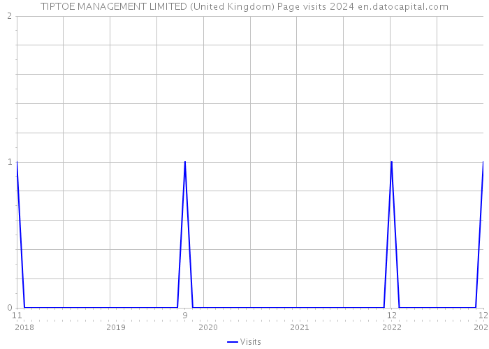 TIPTOE MANAGEMENT LIMITED (United Kingdom) Page visits 2024 