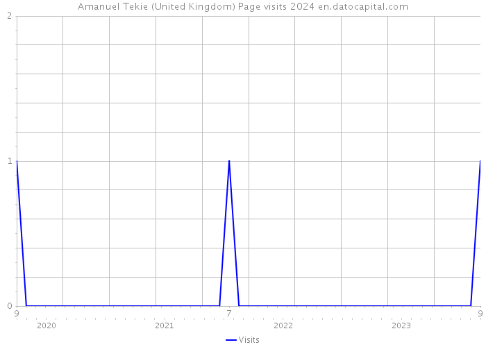 Amanuel Tekie (United Kingdom) Page visits 2024 