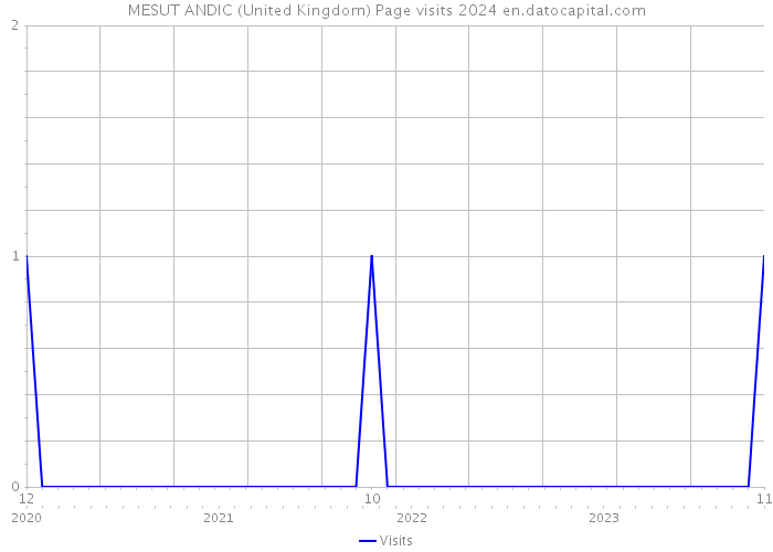 MESUT ANDIC (United Kingdom) Page visits 2024 
