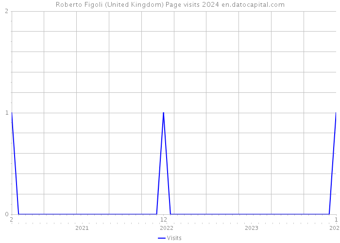Roberto Figoli (United Kingdom) Page visits 2024 