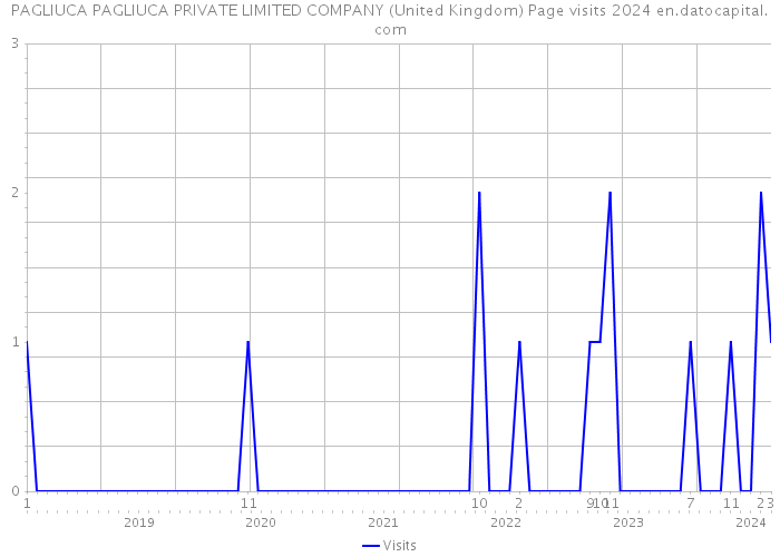 PAGLIUCA PAGLIUCA PRIVATE LIMITED COMPANY (United Kingdom) Page visits 2024 