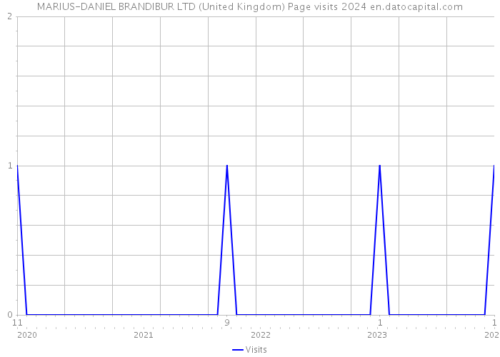 MARIUS-DANIEL BRANDIBUR LTD (United Kingdom) Page visits 2024 