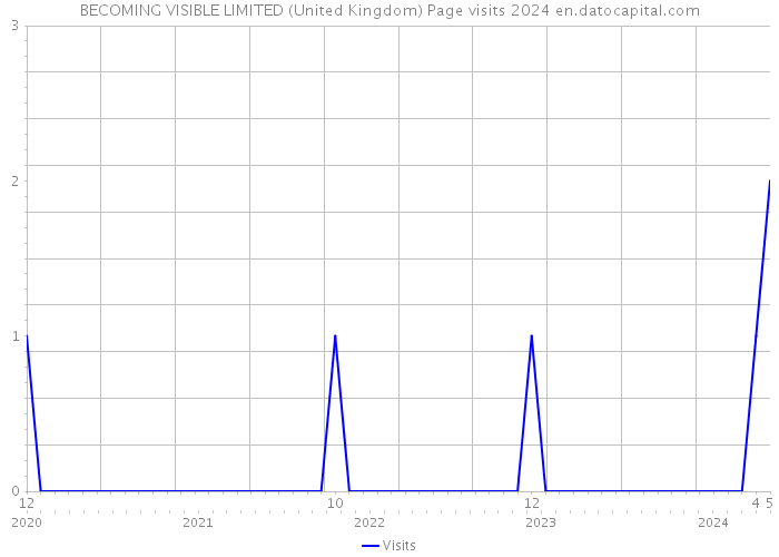 BECOMING VISIBLE LIMITED (United Kingdom) Page visits 2024 