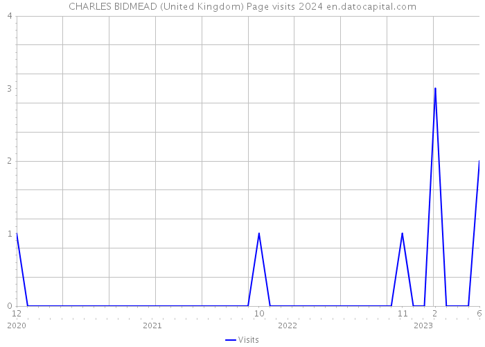 CHARLES BIDMEAD (United Kingdom) Page visits 2024 