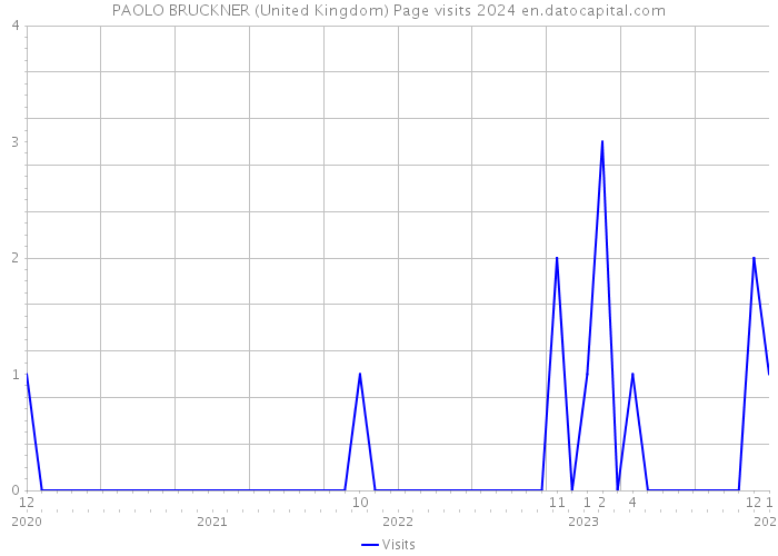 PAOLO BRUCKNER (United Kingdom) Page visits 2024 
