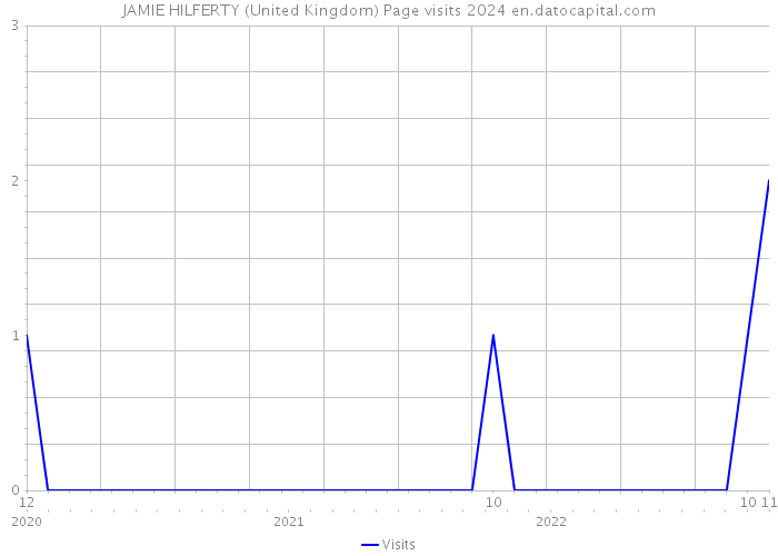 JAMIE HILFERTY (United Kingdom) Page visits 2024 