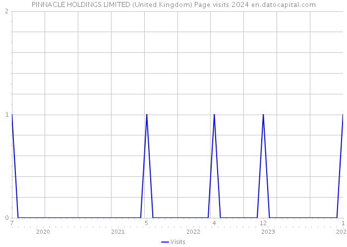 PINNACLE HOLDINGS LIMITED (United Kingdom) Page visits 2024 