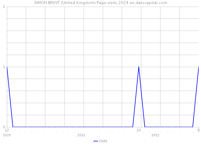 SIMON BRINT (United Kingdom) Page visits 2024 