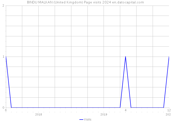 BINDU MALKAN (United Kingdom) Page visits 2024 
