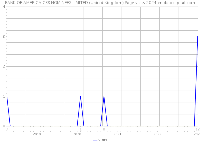 BANK OF AMERICA GSS NOMINEES LIMITED (United Kingdom) Page visits 2024 