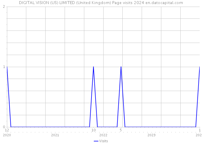 DIGITAL VISION (US) LIMITED (United Kingdom) Page visits 2024 