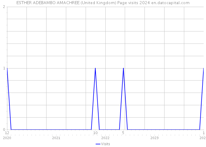 ESTHER ADEBAMBO AMACHREE (United Kingdom) Page visits 2024 