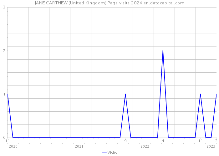 JANE CARTHEW (United Kingdom) Page visits 2024 