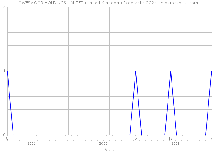 LOWESMOOR HOLDINGS LIMITED (United Kingdom) Page visits 2024 