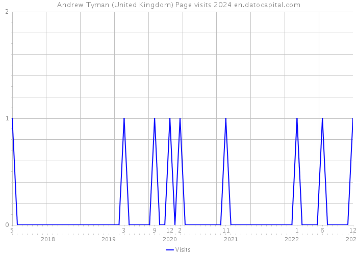 Andrew Tyman (United Kingdom) Page visits 2024 
