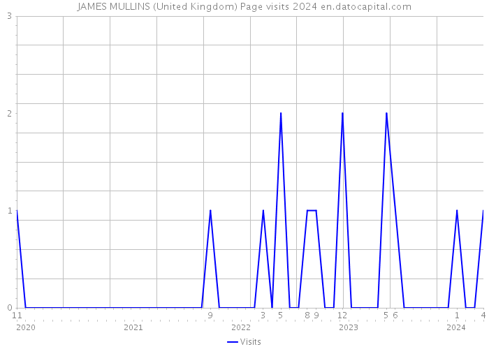 JAMES MULLINS (United Kingdom) Page visits 2024 