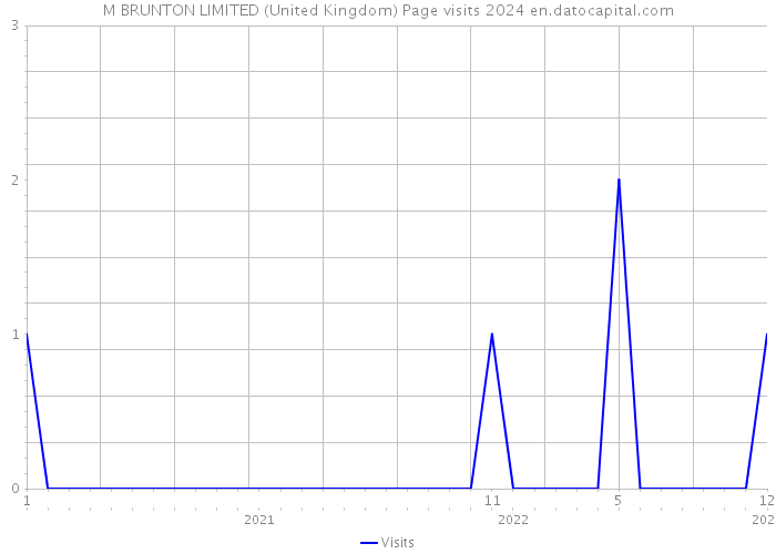 M BRUNTON LIMITED (United Kingdom) Page visits 2024 