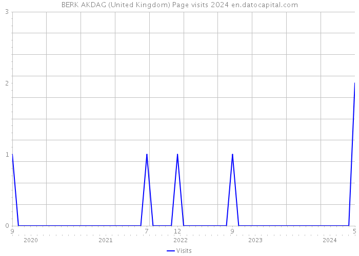 BERK AKDAG (United Kingdom) Page visits 2024 
