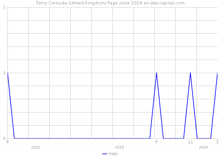Terry Cernuda (United Kingdom) Page visits 2024 
