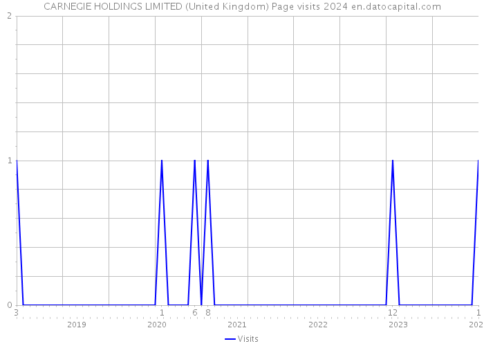 CARNEGIE HOLDINGS LIMITED (United Kingdom) Page visits 2024 