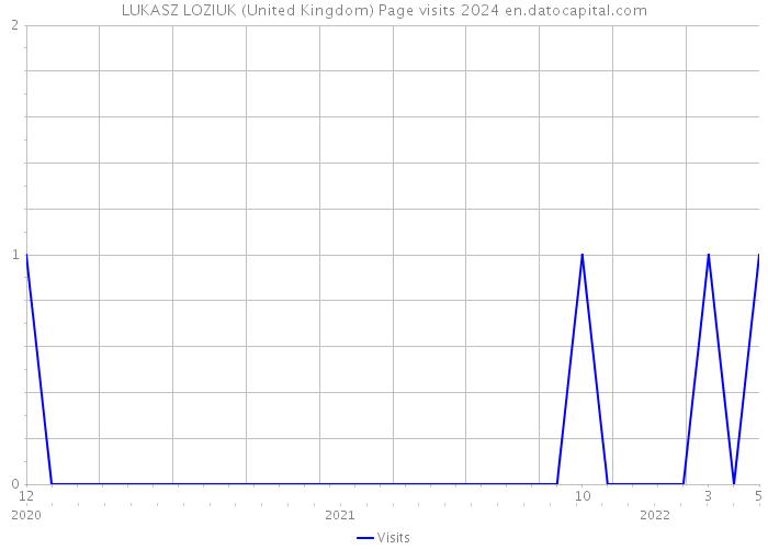 LUKASZ LOZIUK (United Kingdom) Page visits 2024 