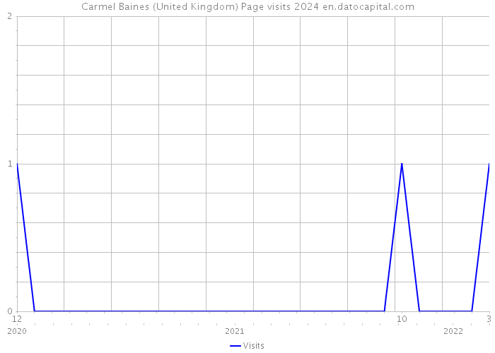 Carmel Baines (United Kingdom) Page visits 2024 