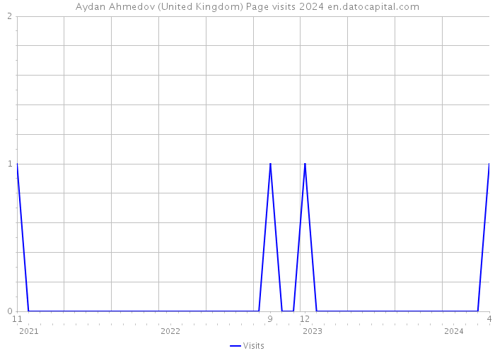 Aydan Ahmedov (United Kingdom) Page visits 2024 