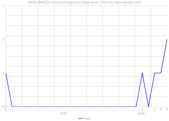 RAUL BARCIA (United Kingdom) Page visits 2024 