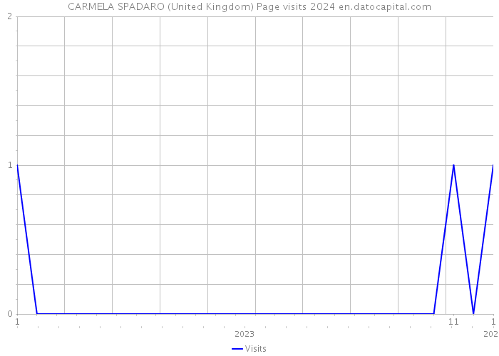 CARMELA SPADARO (United Kingdom) Page visits 2024 