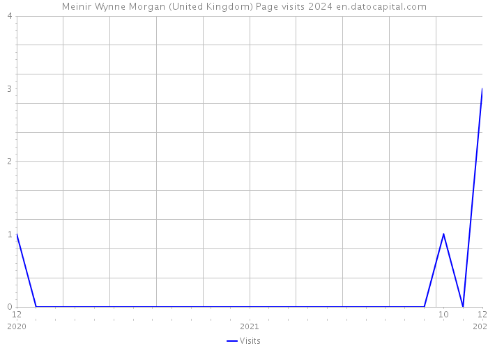 Meinir Wynne Morgan (United Kingdom) Page visits 2024 
