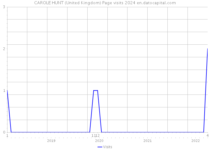 CAROLE HUNT (United Kingdom) Page visits 2024 