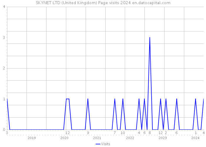 SKYNET LTD (United Kingdom) Page visits 2024 