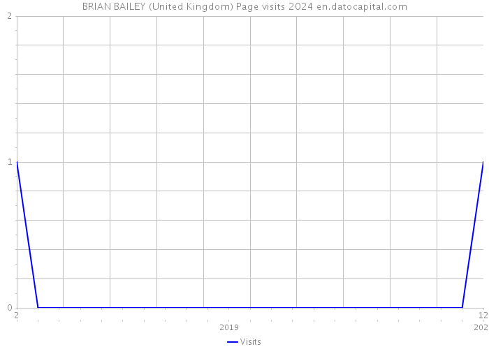 BRIAN BAILEY (United Kingdom) Page visits 2024 