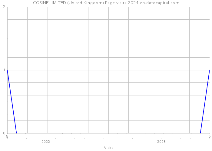 COSINE LIMITED (United Kingdom) Page visits 2024 