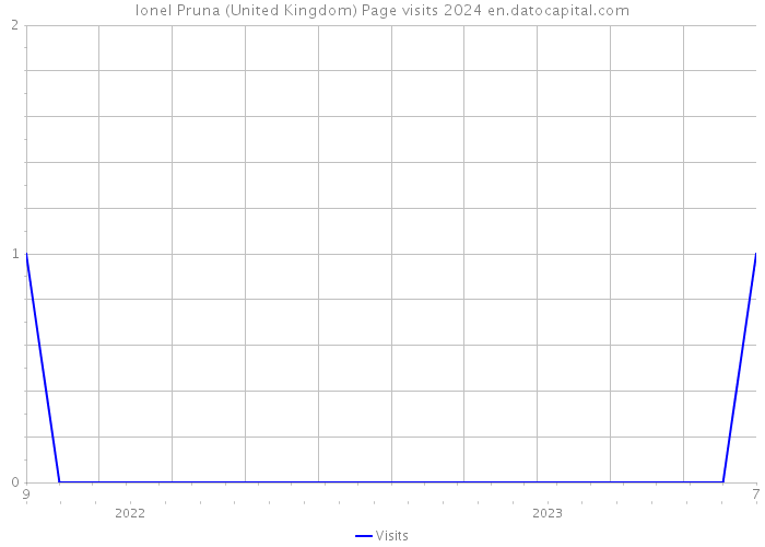 Ionel Pruna (United Kingdom) Page visits 2024 