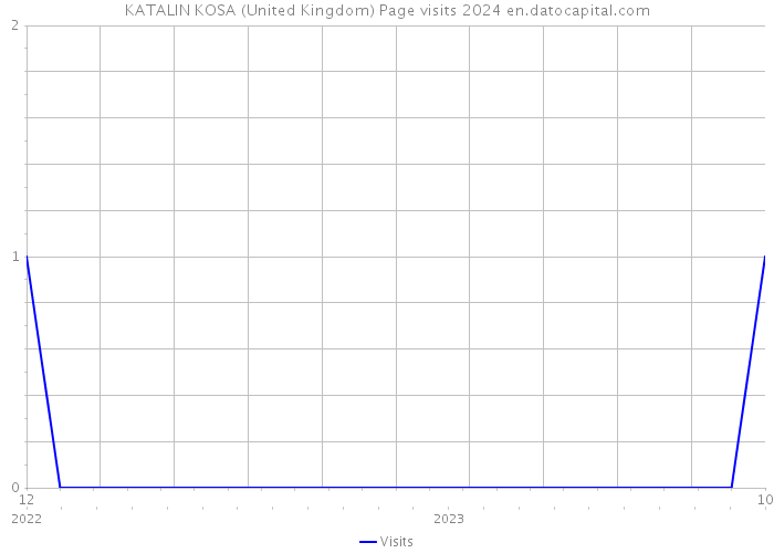 KATALIN KOSA (United Kingdom) Page visits 2024 